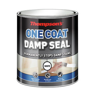 Thompsons Damp Seal 2.5lt