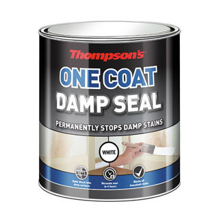 Thompsons Damp Seal 2.5lt